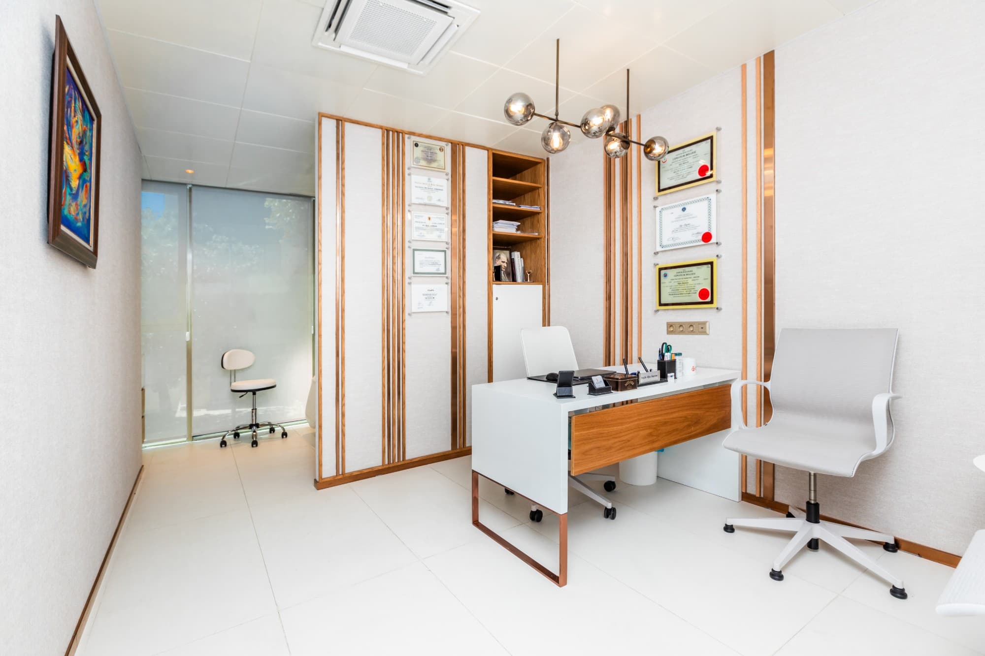 Prof. Dr. Oğuz Kayıran's office with framed certifications